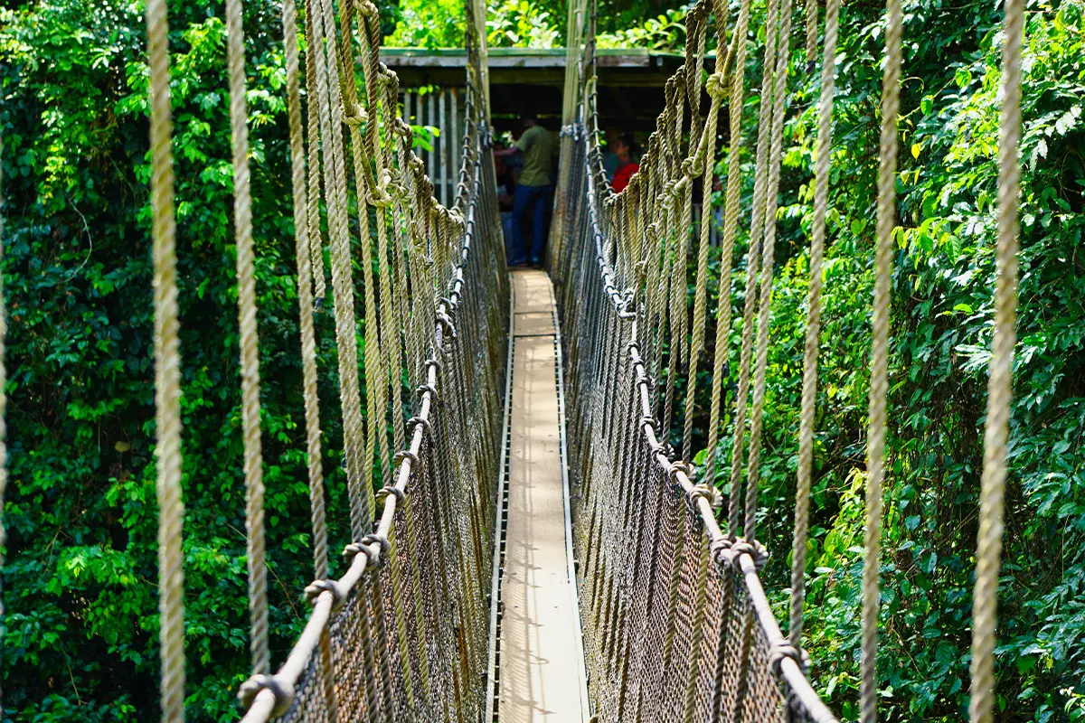 Cape Coast Castle & Kakum National Park