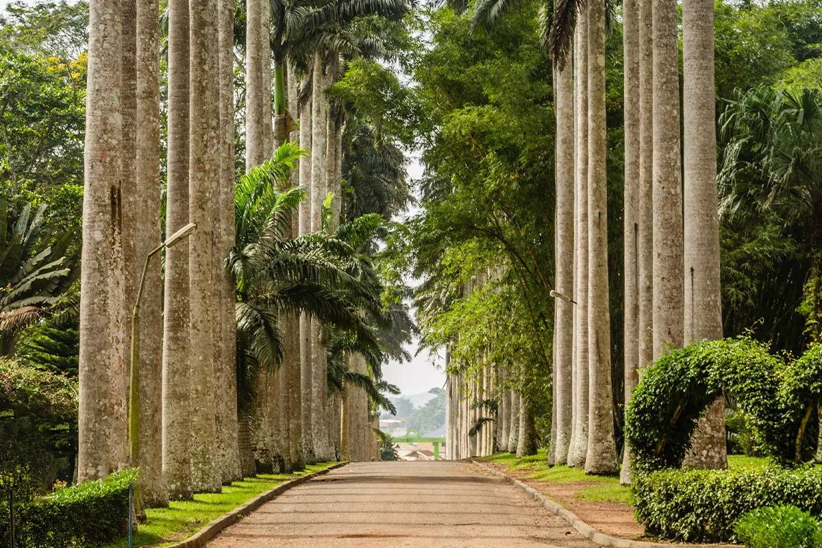 Aburi Botanical Gardens & Boti Falls Day Tour