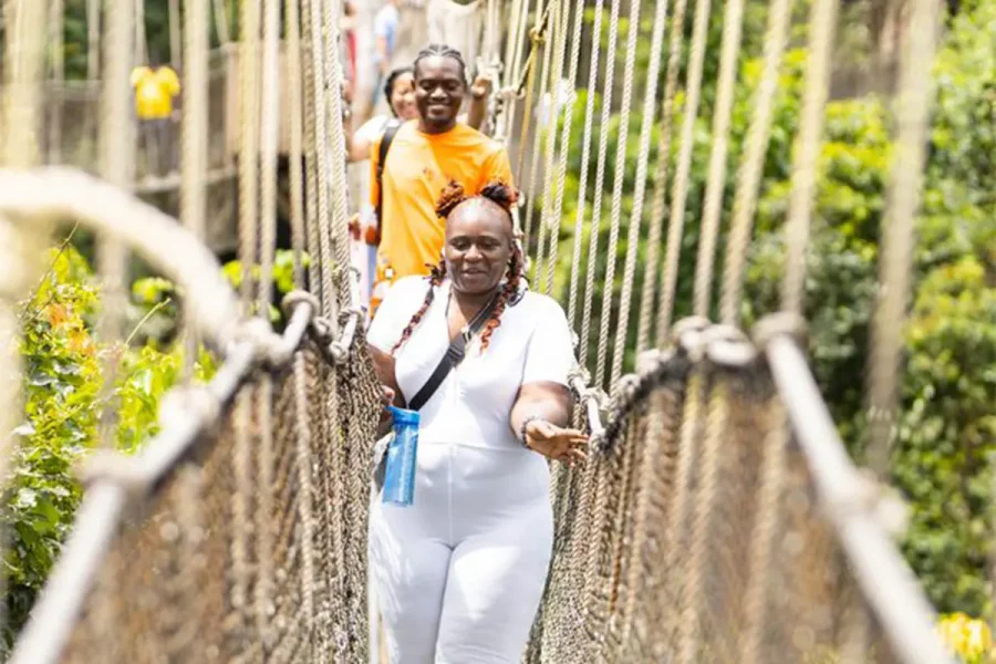 Canopy walkways ghana_