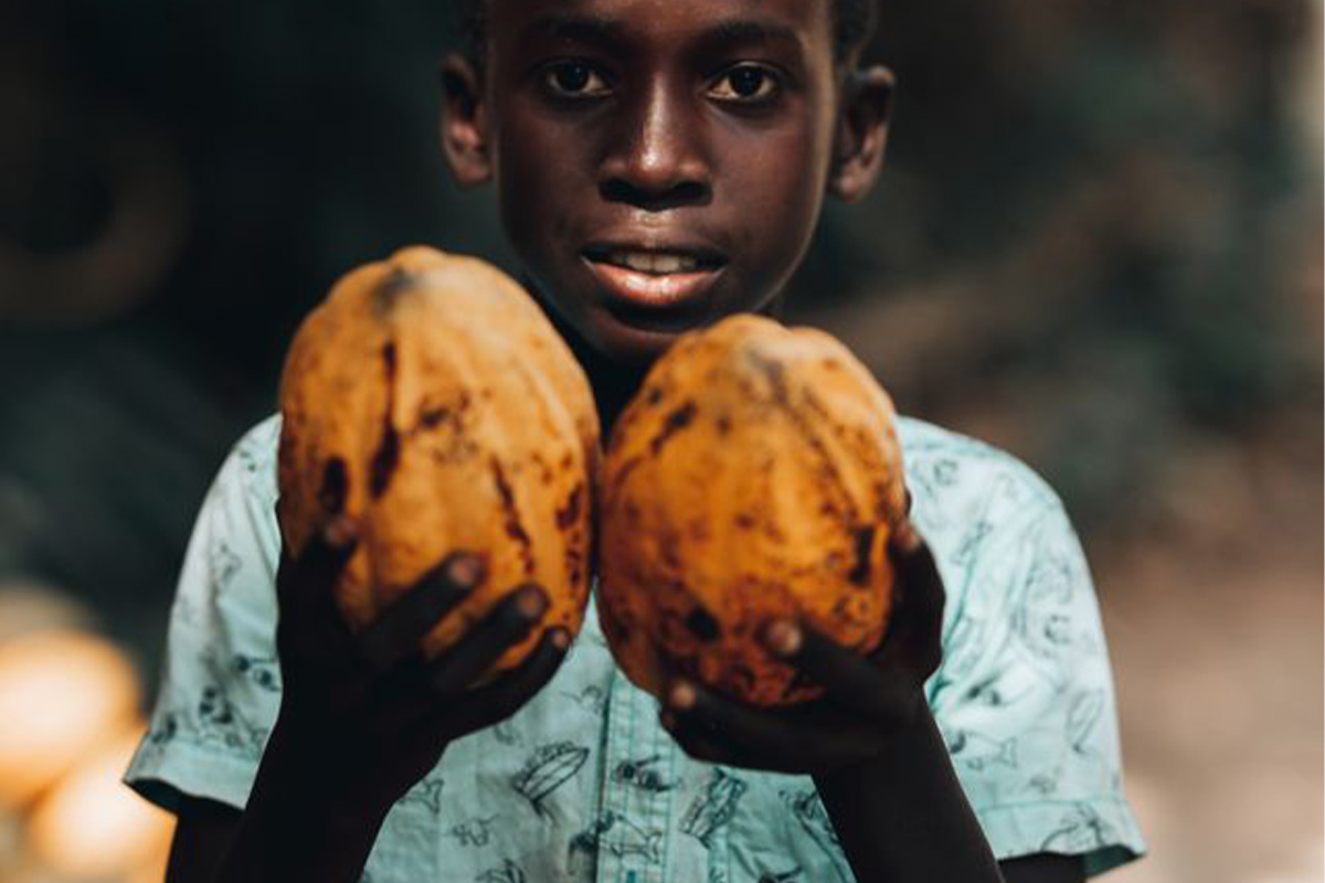 Cocoa production in Ghana