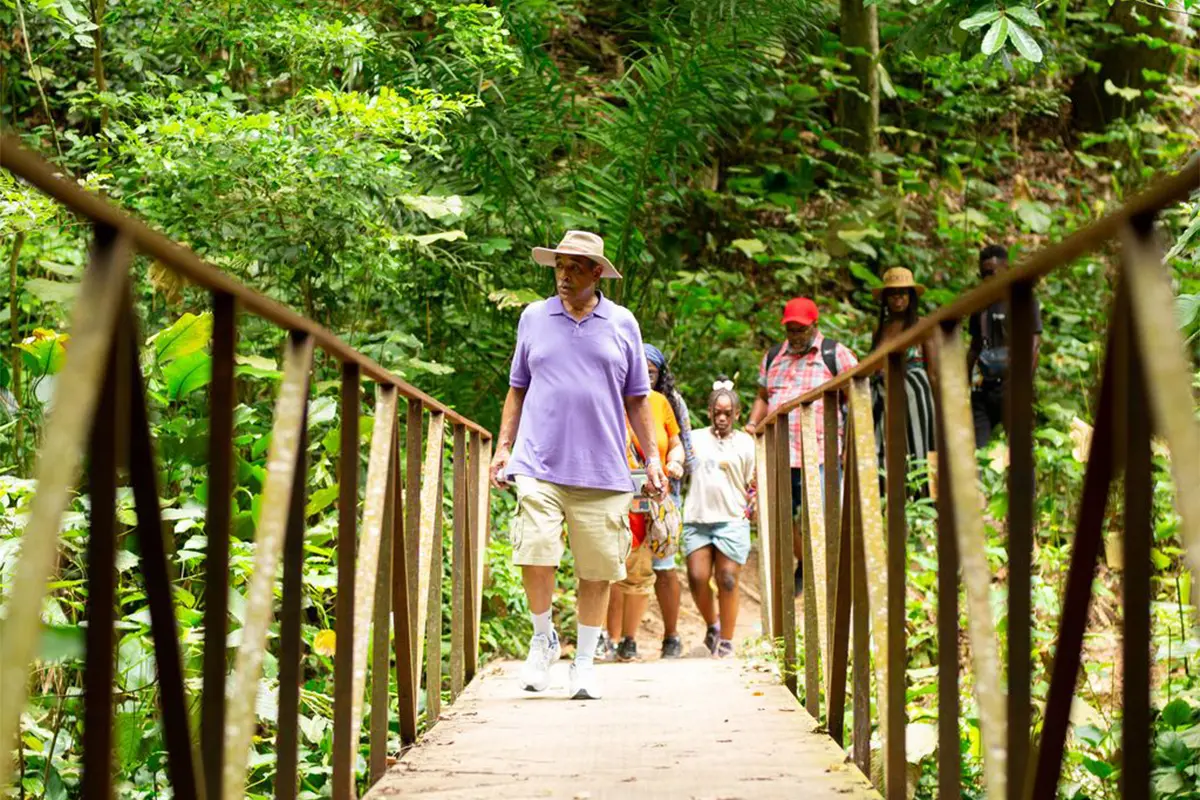 Monkey sanctuaries ghana