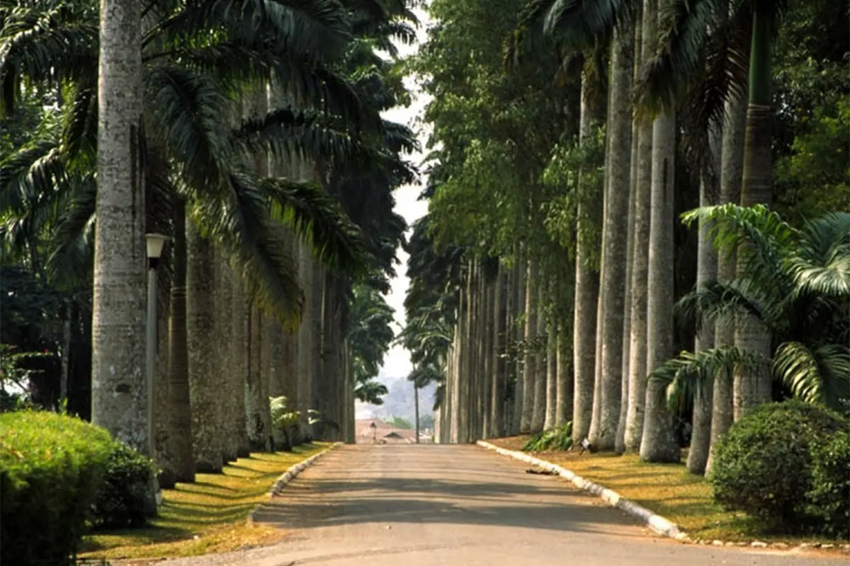 aburi-gardens